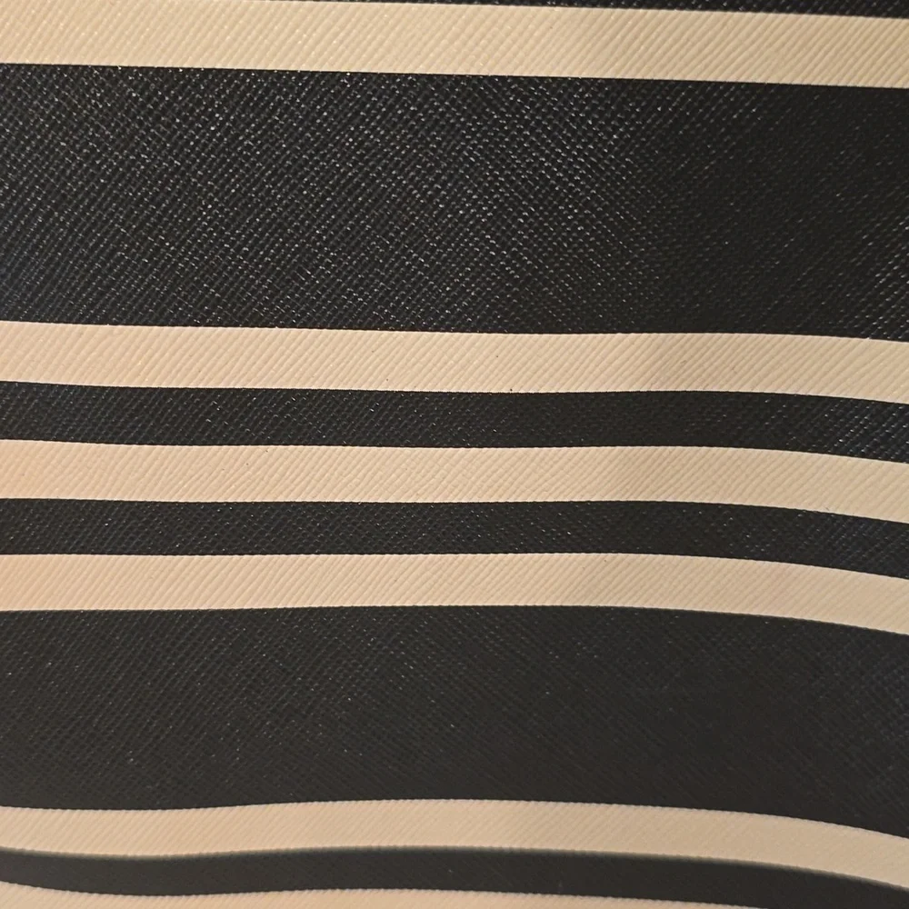 Betsey Johnson Black and White Striped Tote with Polka Dots & Rose Gold Earrings